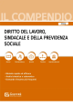 COMPENDIO DI DIRITTO DEL LAVORO, SINDACALE E DELLA PREVIDENZA SOCIALE 2023