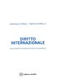 DIRITTO INTERNAZIONALE