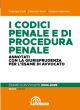 I CODICI PENALE E DI PROCEDURA PENALE 2024/2025 Annotati con la giurisprudenza per l'esame di avvocato