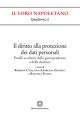 IL DIRITTO ALLA PROTEZIONE DEI DATI PERSONALI