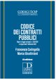 CODICE DEI CONTRATTI PUBBLICI