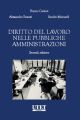 DIRITTO DEL LAVORO NELLE PUBBLICHE AMMINISTRAZIONI