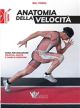 ANATOMIA DELLA VELOCITÀ