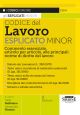 E8/A CODICE DEL LAVORO 2024 Esplicato Minor