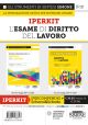 IP1K IPERKIT ESAME DI DIRITO DEL LAVORO