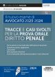 54/5B IL NUOVO ESAME DI AVVOCATO 2023-2024 TRACCE E CASI SVOLTI PER LA PROVA ORA LE DIRITTO PENALE