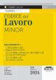 509/1 CODICE DEL LAVORO 2024 Minor