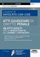 54/2 ATTI GIUDIZIARI DI DIRITTO PENALE L’esame di Avvocato 2024-2025