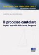 IL PROCESSO CAUTELARE