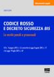 CODICE ROSSO E DECRETO SICUREZZA le novità penali e processuali