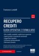 RECUPERO CREDITI