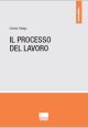 IL PROCESSO DEL LAVORO