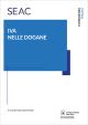IVA NELLE DOGANE E-book