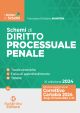 SCHEMI DI DIRITTO PROCESSUALE PENALE 2024