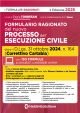 FORMULARIO RAGIONATO DEL NUOVO PROCESSO DELL'ESECUZIONE CIVILE dopo il D.Lgs. 20 24, n. 164 (Correttivo Cartabia)