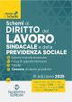 SCHEMI DI DIRITTO DEL LAVORO, SINDACALE E DELLA PREVIDENZA SOCIALE