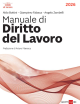 MANUALE DI DIRITTO DEL LAVORO 2026