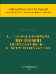 LA FUSIONE DI COMUNI TRA I RISPARMI DI SPESA PUBBLICA E INCENTIVI FINANZIARI