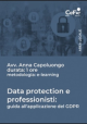 E-learning - Data protection e professionisti: guida all'applicazione del GDPR